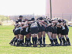 Aardvarks’ Warming Up